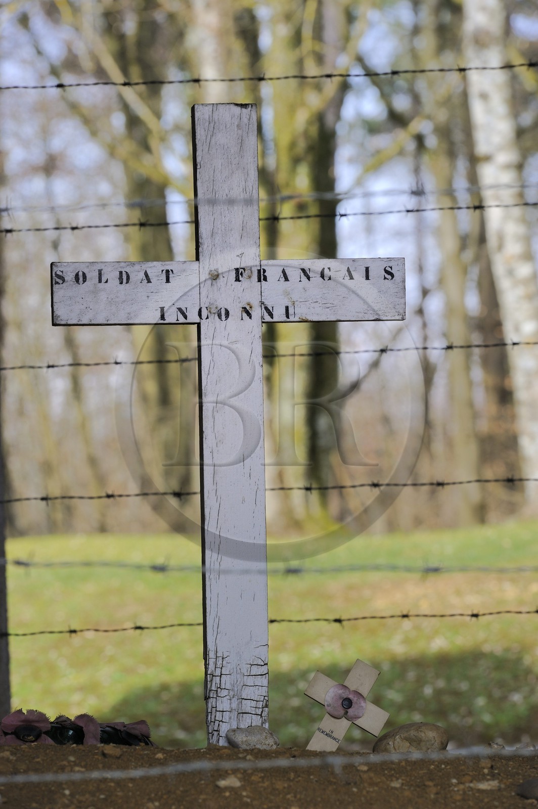 France, Meuse (55), région de Verdun, Douaumont, Tranchée des Baïonnettes, monument en souvenir d'un détachement enseveli dans leur tranchée lors d'un bombardement et d'où seules quelques centimètres de baïonnettes restèrent émergées du sol, croix sur la tombe d'un soldat inconnu