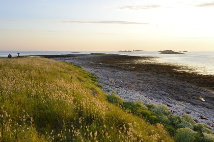 France, Finistère (29), La Foret Fouesnant, archipel des Glénan, Ile Saint-Nicolas, la plage ouest