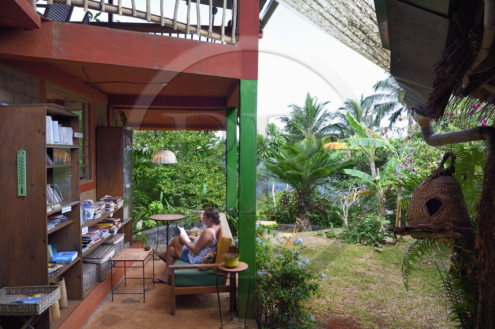 France, Ile de Mayotte, Grande-Terre, Miréréni, réserve forestière de Combani, gite du Mont Combani