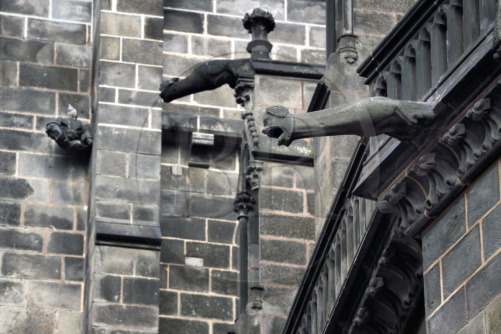 France, Puy-de-Dôme (63), Clermont-Ferrand, cathédrale Notre-Dame de l'Assomption du XIIIe siècle, gargouilles