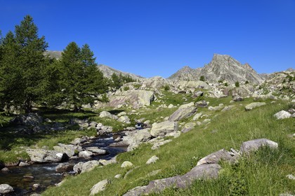 France, Alpes-Maritimes (06), parc national du Mercantour, Vallée des Merveilles parsemée de milliers de gravures rupestres de l'Age de bronze, les alpages en contrebas du lac Long et la montagne Cime des Lacs (2510m) en arrière plan