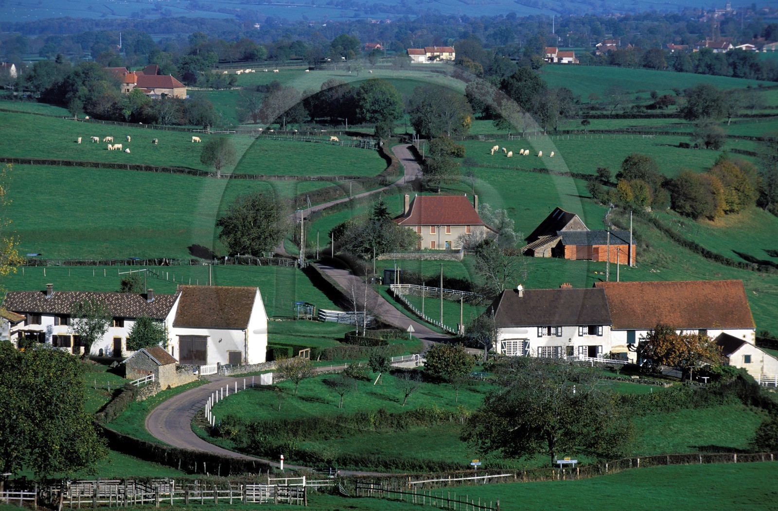 France, Saône-et-Loire (71), paysage du brionnais vers Saint-Christophe-en-Brionnais