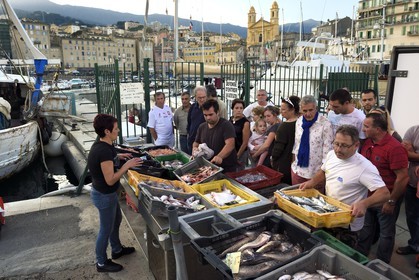 France, Haute-Corse (2B), Bastia, quartier de Terra-Vecchia, le Vieux-Port dominé par l'église Saint-Jean-Baptiste, vente directe du poisson sur le quai après le retour de pêche