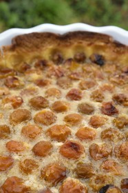 France, tarte aux mirabelles faite maison