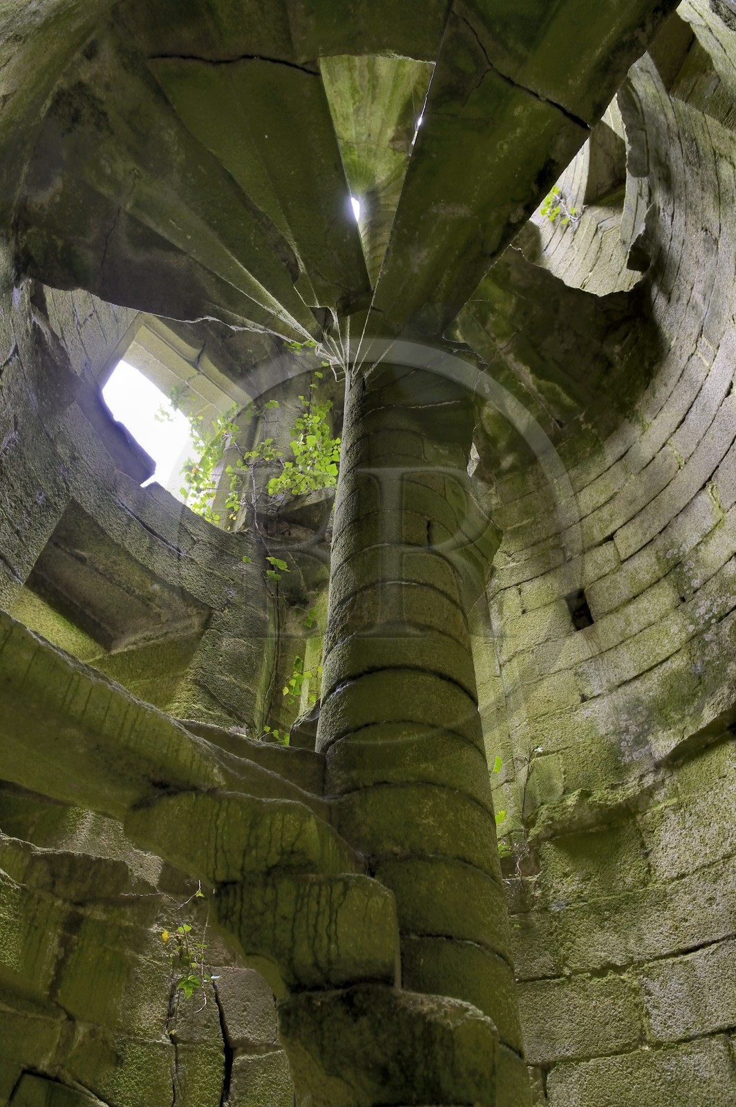 France, Finistère (29), Pont-Aven, Nizon, chateau de Rustephan, ancien manoir du XVe et du XVIe siècle en ruine