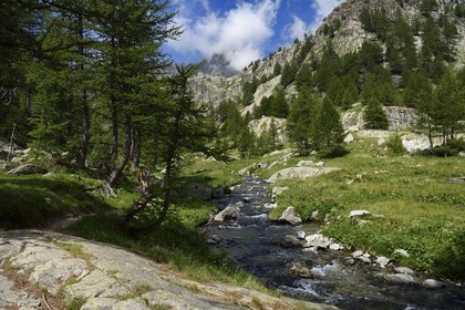 France, Alpes-Maritimes (06), parc national du Mercantour, randonneurs sur le sentier de randonnée de la vallée de la Valmasque, sommets de la haute Valmasque et la cime de l'Agnel (2927m)