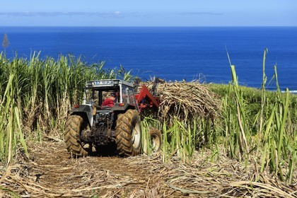 France, Ile de la Reunion, Petite-Ile,