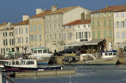 France, Charente-Maritime (17), ile de Ré, port de Saint-Martin-de-Ré