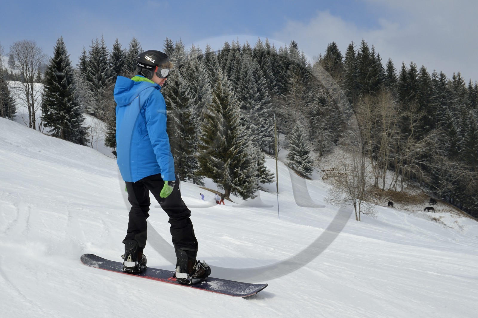 France, Haute-Savoie (74), Morzine