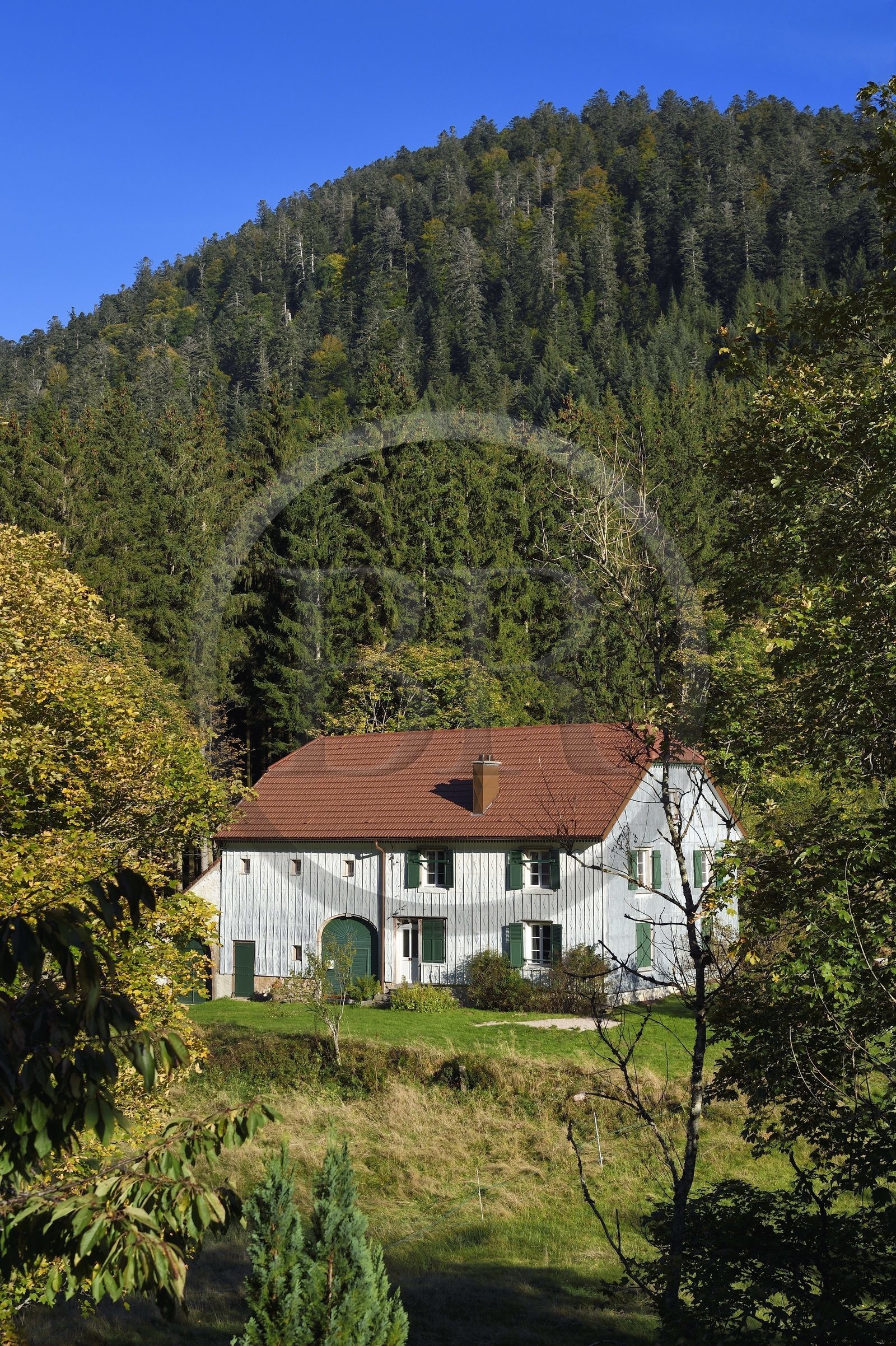 France, Vosges (88), Le Valtin, village de la haute-vallée de la Meurthe, facade de ferme recouverte de tavaillons ou ancelles de bois servant à la protection contre les intempéries