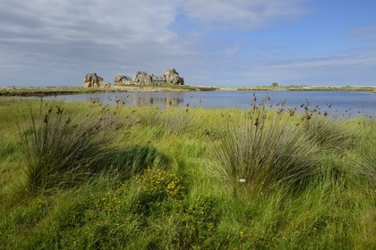 France, Côtes-d'Armor (22), Côte d'Ajoncs, Plougrescant, Anse de Pors Scaff, la petite maison de Castel Meur, toute représentation commerciale de cette maison est interdite
