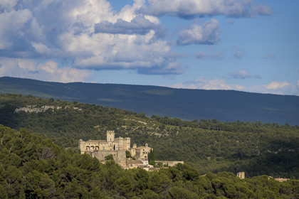 France, Vaucluse (84), Dentelles de Montmirail, Le Barroux, le chateau du Barroux émergeant de la forêt