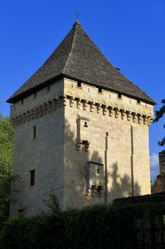 France, Dordogne (24), Périgord Noir, vallée de la Vézère, Saint-Léon-sur-Vézère, labellisé Les Plus Beaux Villages de France, le donjon du manoir de la Salle