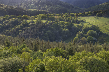 France, Bas-Rhin (67), Parc naturel régional des Vosges du Nord, Lembach, foret domaniale de Steinbach et la frontière franco-allemande au creux de la vallée