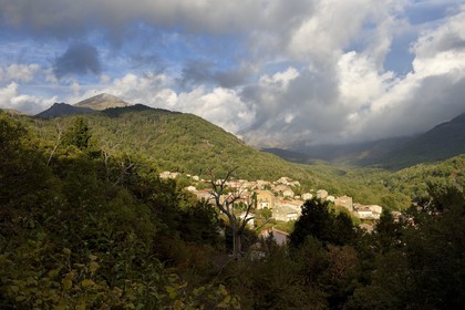 France, Corse-du-Sud (2A), Vallée du Prunelli, Bastelica