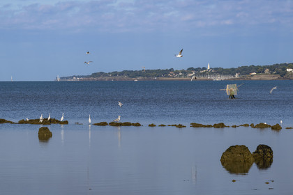 France, Loire-Atlantique (44), Baie de Bourgneuf, Pornic, plage de Crêve-coeur à La Bernerie-en-Retz, pecheurs à pied de crevettes à l'épuisette