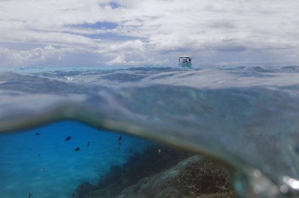 France, Ile de Mayotte, Grande-Terre, récif de corail dans la lagune face à la pointe Saziley  sur la cote Est
