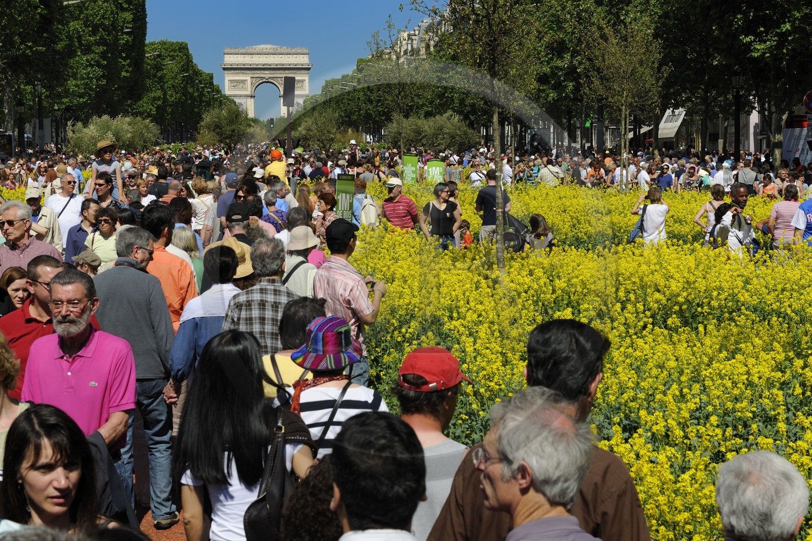France, Paris (75), opération Nature Capitale 2010 sur les Champs-Elysées