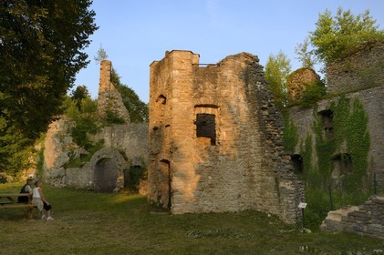 France, Haut-Rhin (68), Sundgau, Oberlarg, ruines du château du Morimont du XIIème siècle