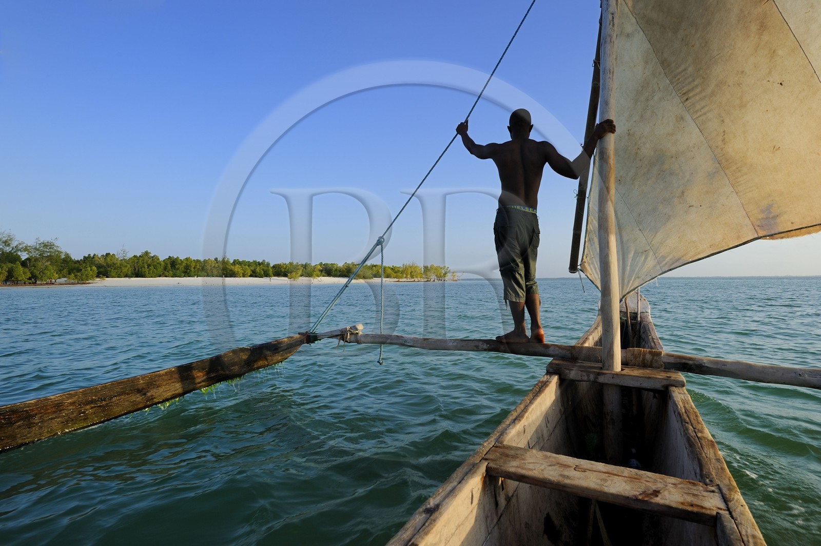 Tanzanie, archipel de Zanzibar, île de Unguja (Zanzibar), côte est, baie de Chwaka vers Michamvi, un dhow (boutre traditionnel)