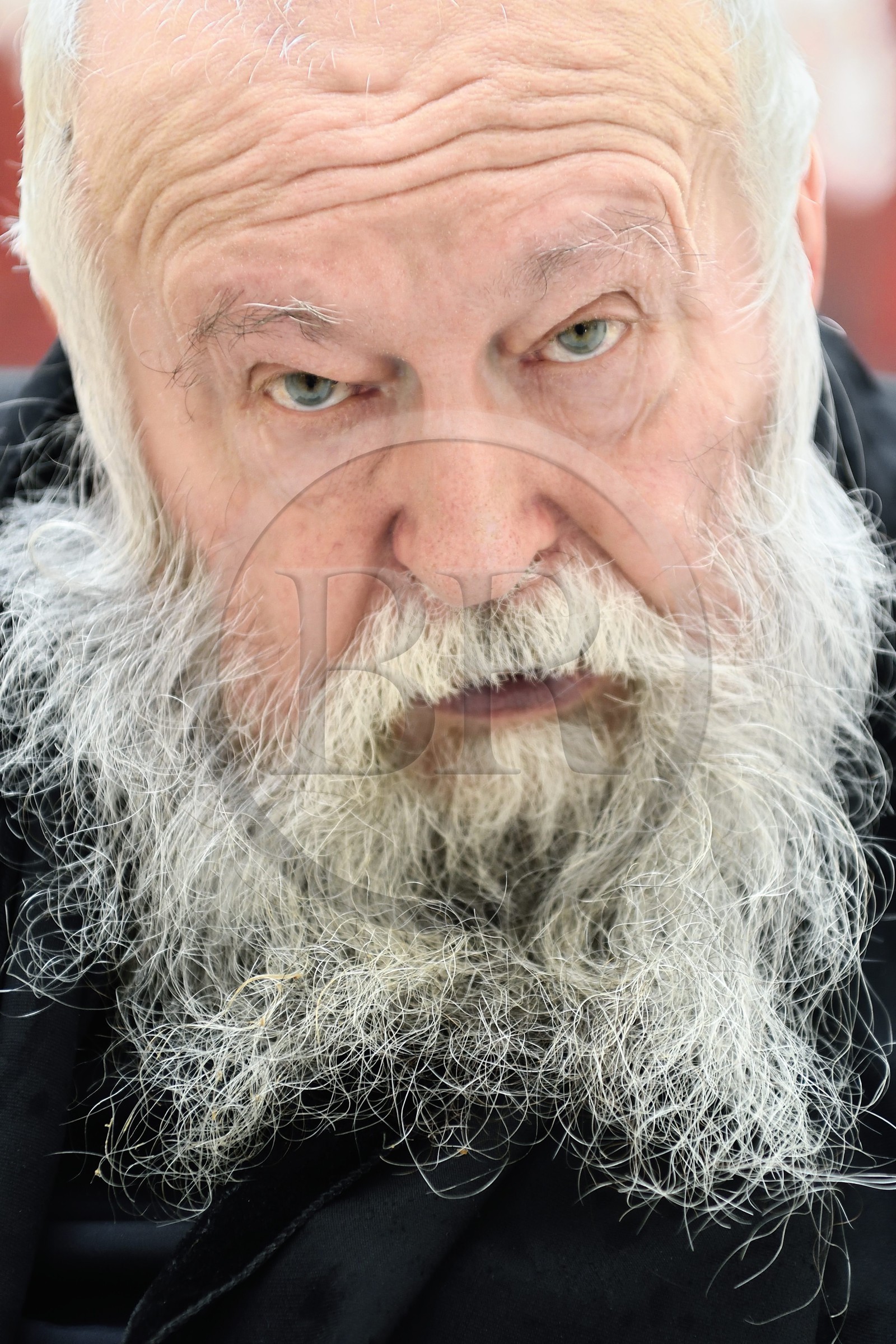 France, Paris (75), Galerie RX, Hermann Nitsch, artiste contemporain autrichien, cofondateur du mouvement Wiener Aktionismus (Actionnisme viennois)