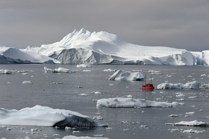 Groenland, cote ouest, baie de Disko, Ilulissat, fjord glacé classé Patrimoine Mondial de l'UNESCO qui est l’embouchure maritime du glacier Sermeq Kujalleq, ancien bateau de pêche reconverti pour la découverte des icebergs et l'observation des baleines
