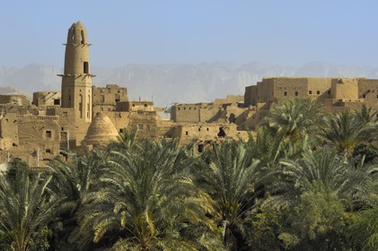 Egypte, Haute Egypte, désert libyque, oasis de Dakhla, vieux village de Al-Qasr, la mosquée de Nasr el-Din
