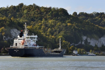 France, Seine-Maritime (76), Parc naturel régional des Boucles de la Seine normande, La Bouille, un cargo croise une péniche dans les boucles de la Seine