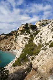 France, Bouches-du-Rhône (13), Ensuès-la-Redonne vers Marseille, la Cote Bleue, randonnée de Niolon au Cap Méjean le long du Sentier des Douaniers, passage d'un TER au dessus de la petite plage de la calanque de l'Erevine