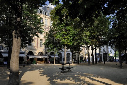 France, Paris (75), île de la Cité, place Dauphine