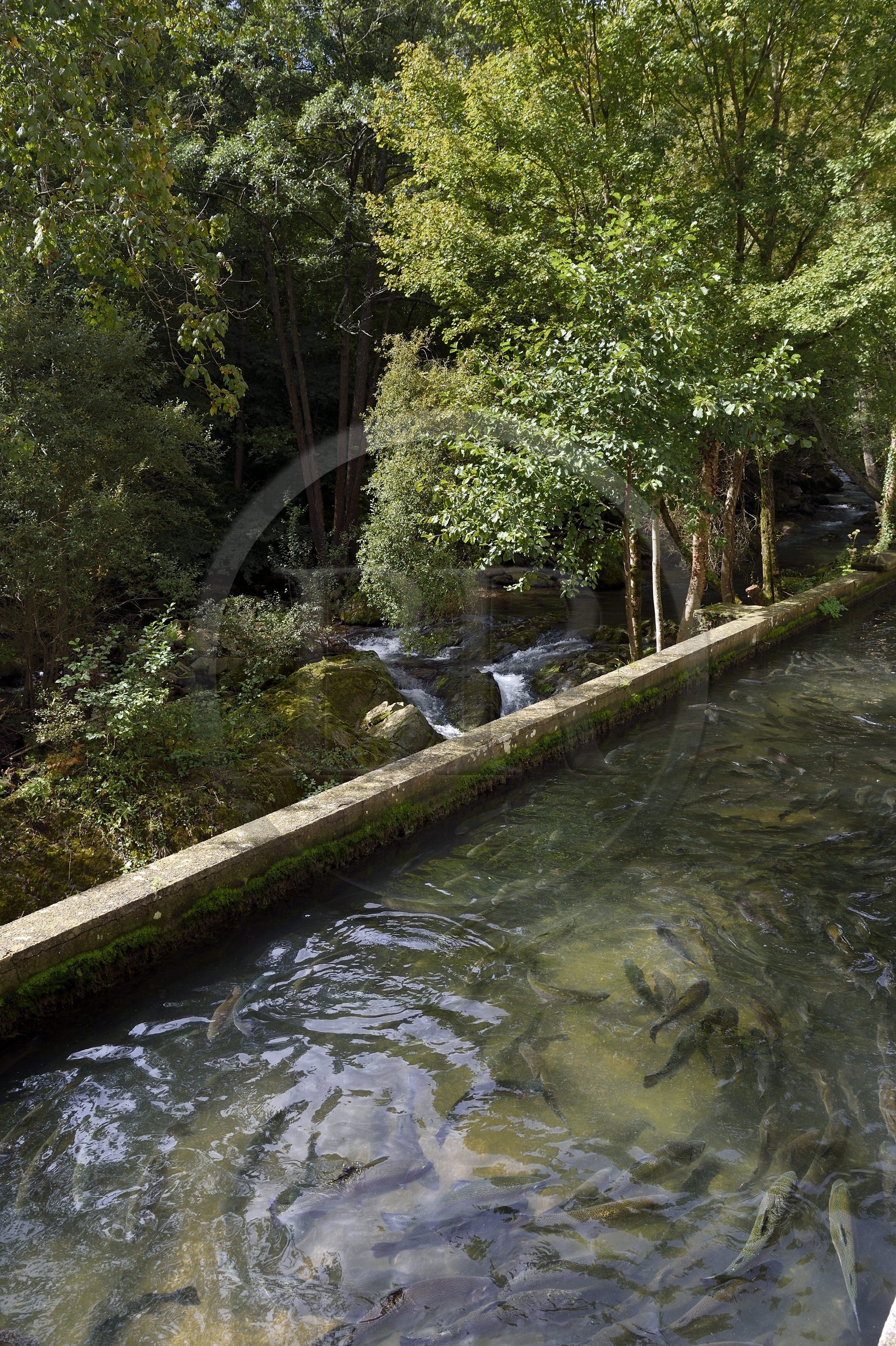France, Pyrénées-Atlantiques (64), Pays-Basque, vallée des Aldudes, site de la ferme aquacole de Banca