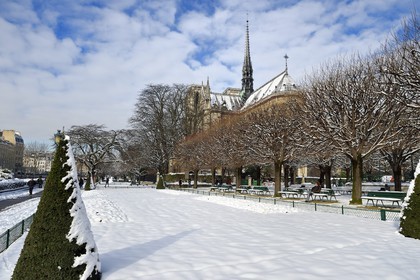France, Paris (75), les rives de la Seine, classées Patrimoine Mondial de l'UNESCO, la Cathédrale Notre-Dame sous la neige sur l'Ile de la Cité et le square Jean XXIII sur le quai de l'Archevêché