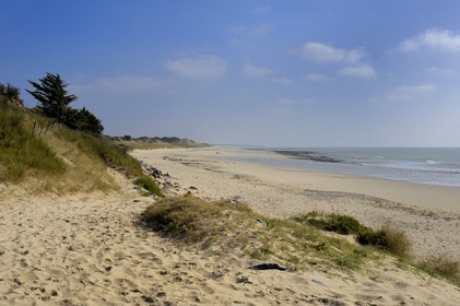 France, Charente-Maritime (17), ile de Ré, plage de La Couarde-sur-Mer