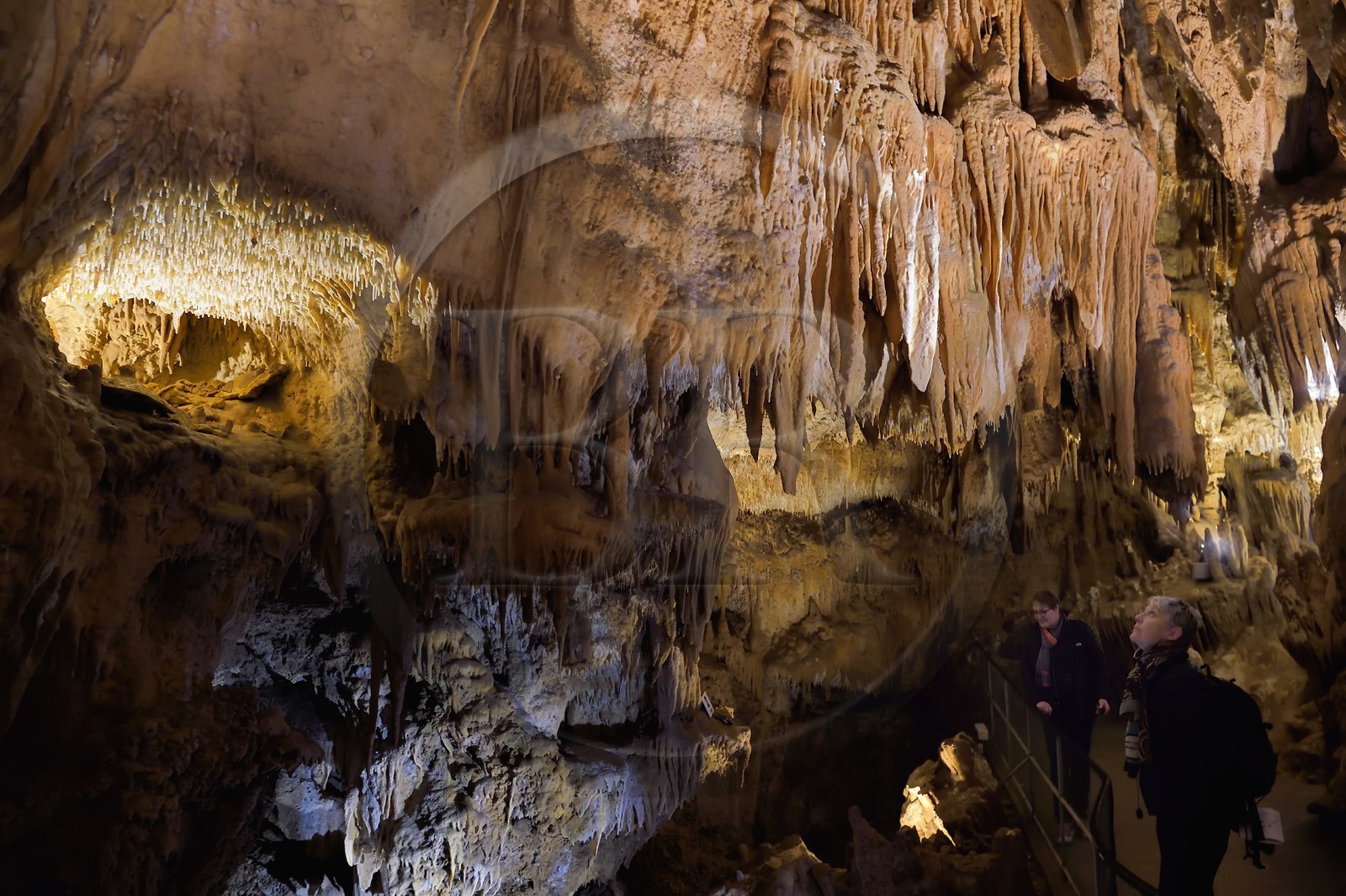 France, Dordogne (24), Périgord Vert, Villars, Grotte de Villars, concrétions dans les grottes et touristes