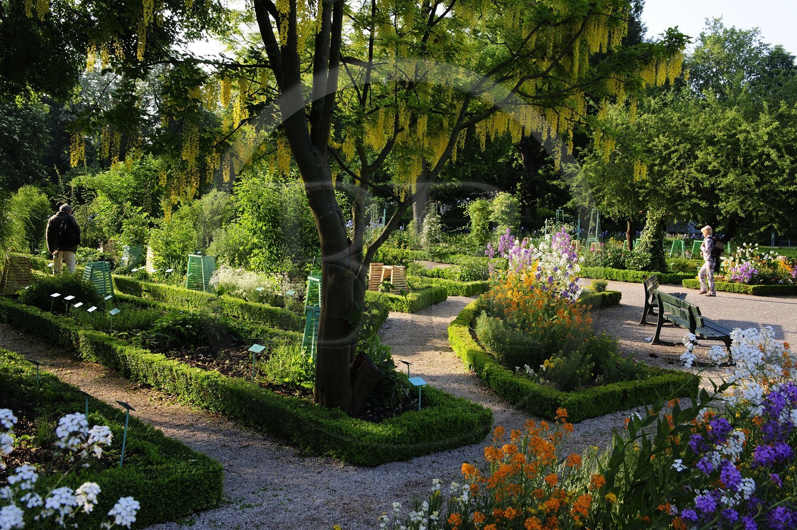 France, Côte d'Or (21), Dijon, jardins botanique de l'Arquebuse