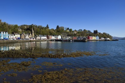 Royaume-Uni, Ecosse, Highland, Hébrides intérieures, Ile de Mull, la ville principale Tobermory et son port