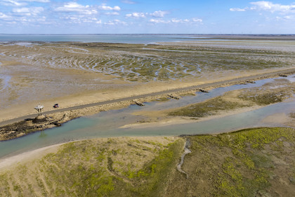 France, Vendée (85), île de Noirmoutier, Barbatre, l'estran en bordure du passage du Gois, chaussée submersible qui relie l'île au continent à marrée basse (vue aérienne)