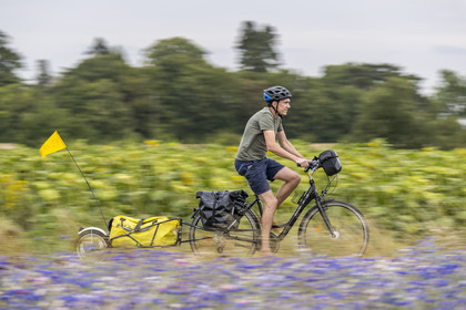 France, Maine-et-Loire (49), vallée de la Loire classée au Patrimoine Mondial par l'UNESCO, Saumur vers Saint-Hilaire, randonnée à bicyclette avec une remorque transportant le matériel de camping