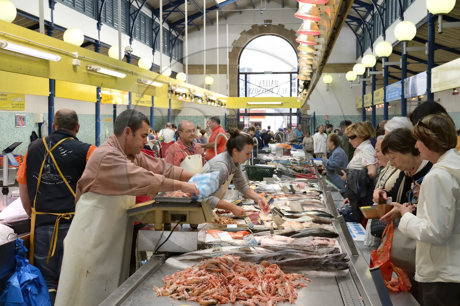 France, Morbihan (56), Golfe du Morbihan, Vannes, la halle aux poissons