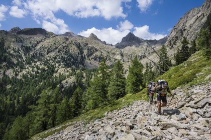 France, Alpes-Maritimes (06), parc national du Mercantour, Haute-Vésubie, Saint-Martin-Vésubie, Val du Haut Boréon, randonneurs en provenance du refuge de Cougourde et traversant un pierrier en marche pour le lac de Trécolpas, le Mont Pelago à gauche et la Cime Guilié (2999m) à droite en arrière-plan
