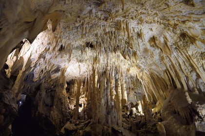 France, Dordogne (24), Périgord Vert, Villars, Grotte de Villars, concrétions dans les grottes