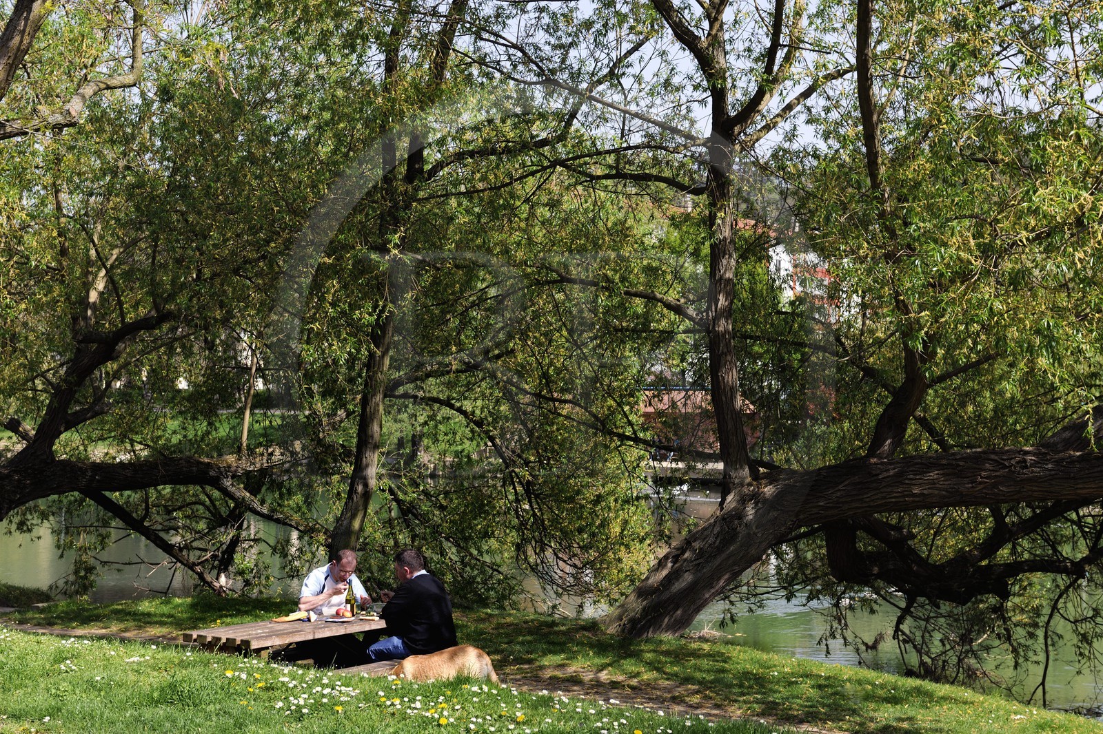 France, Val-de-Marne (94), les bords de Marne, Saint-Maur-des-Fossés, picnic en bordure de Marne au Quai du Mesnil