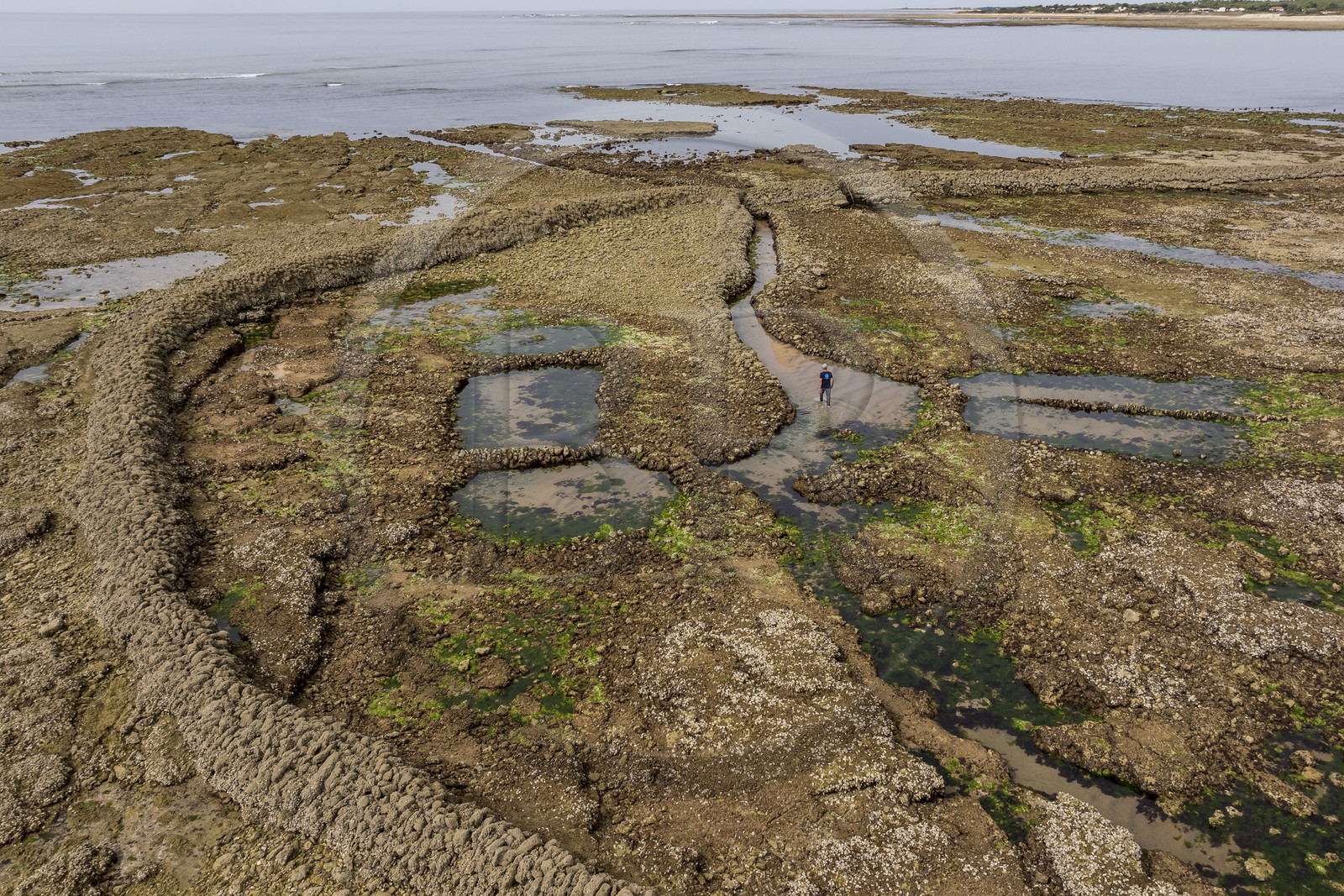 France, Charente-Maritime (17), Ile d'Oléron, Saint-Georges-d'Oléron, plage des Sables Vignier à marée basse, l'écluse à poissons des Basses (vue aérienne)