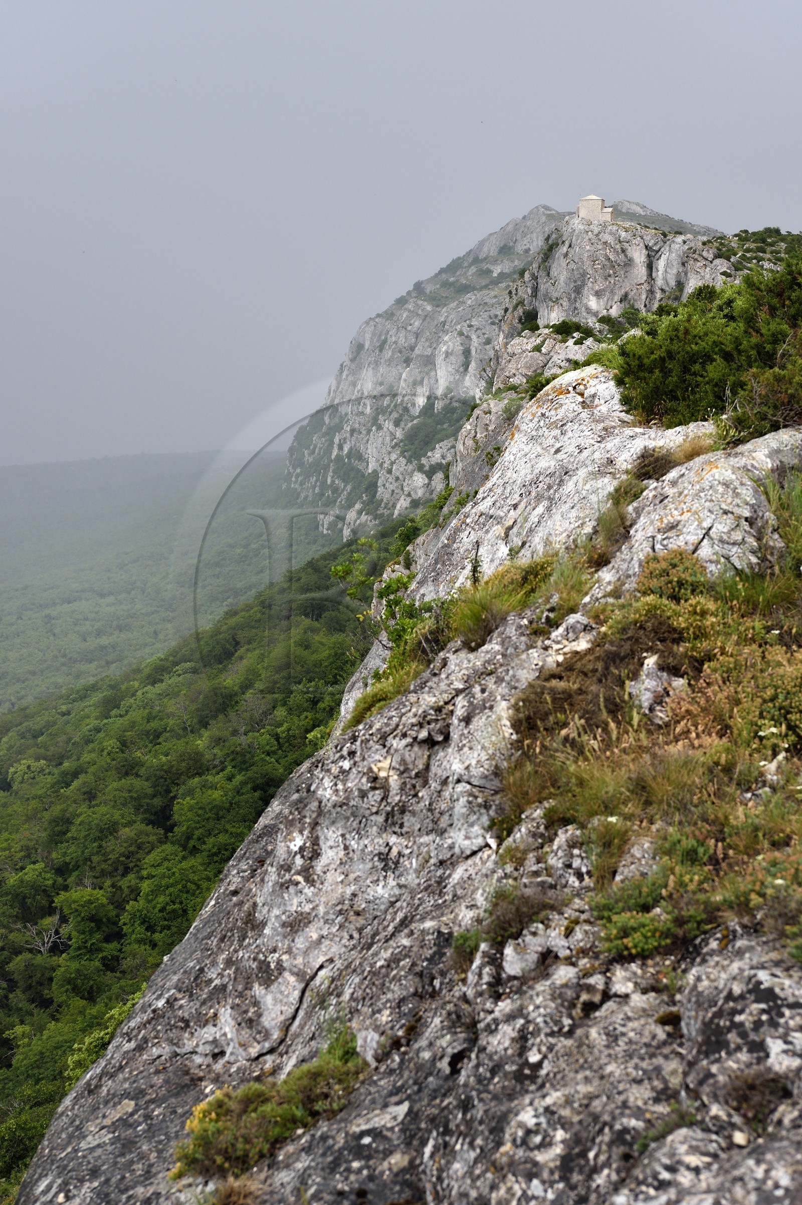 France, Var (83), Plan-d'Aups-Sainte-Baume, parc naturel régional de la Sainte-Baume, Massif de la Sainte-Baume, sommet de la falaise dominant la forêt relique et la chapelle du Saint-Pilon en arrière plan