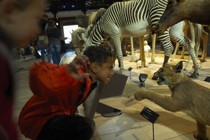 France, Paris (75), Museum d'Histoire Naturelle, Grand Galerie de l'Evolution