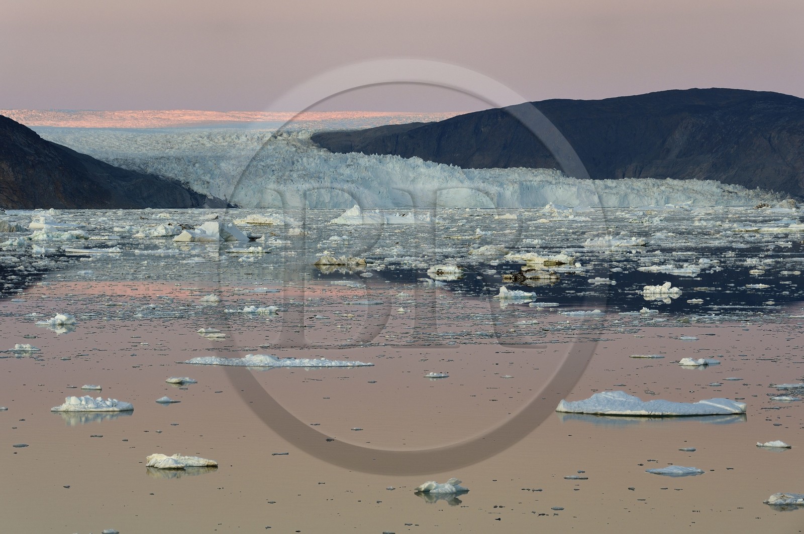 Groenland, cote ouest, baie de Disko, baie de Quervain, le glacier Eqip Sermia (glacier Eqi) au crépuscule et la calotte glaciaire en arrière plan