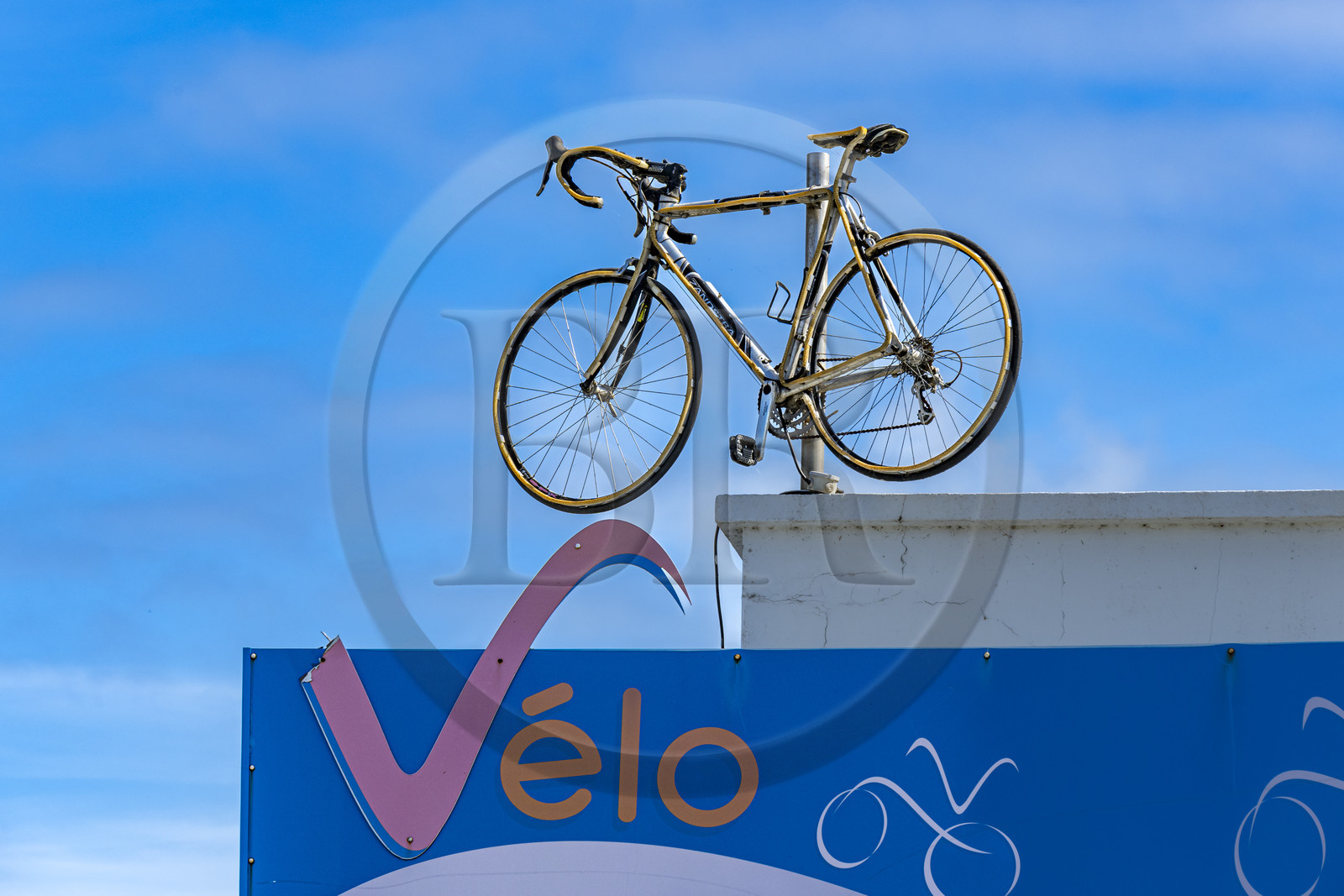 France, Vendée (85), île de Noirmoutier,