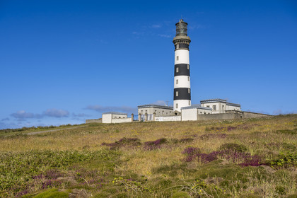 France, Finistère (29), Mer d'Iroise, Ile d'Ouessant, le phare du Créac’h et la lande