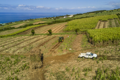 France, Ile de la Reunion, Petite-Ile, coupe et récolte de la canne à sucre (vue aérienne)