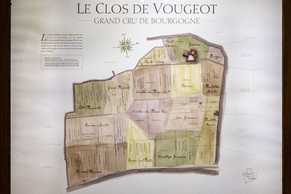 France, Côte-d'Or (21), Paysage culturel des climats de Bourgogne classés Patrimoine Mondial de l'UNESCO, Route des Grands Crus, vignoble de la Côte de Nuits, Vougeot, le Chateau du Clos de Vougeot, noms des parcelles